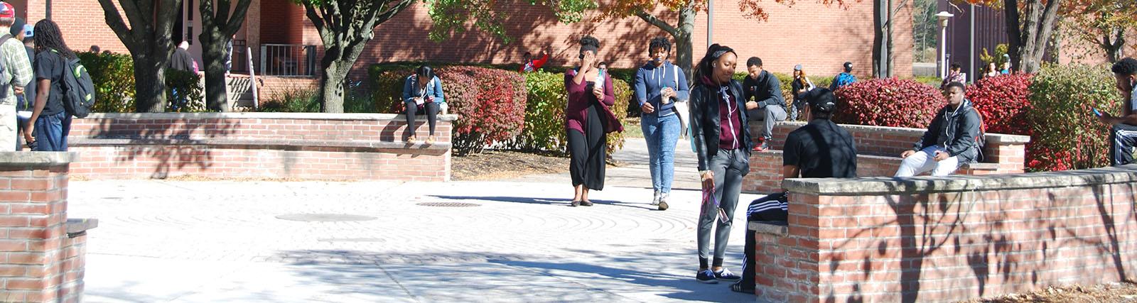 students in echo circle